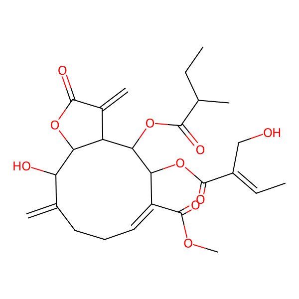 2D Structure of methyl (3aS,4S,5S,6E,11S,11aS)-11-hydroxy-5-[(Z)-2-(hydroxymethyl)but-2-enoyl]oxy-4-(2-methylbutanoyloxy)-3,10-dimethylidene-2-oxo-4,5,8,9,11,11a-hexahydro-3aH-cyclodeca[b]furan-6-carboxylate