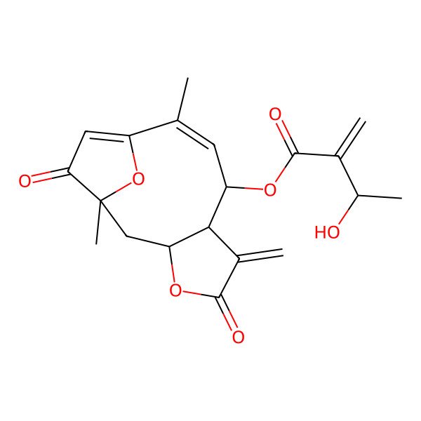 2D Structure of [(1R,3S,7R,8R,9Z)-1,10-dimethyl-6-methylidene-5,13-dioxo-4,14-dioxatricyclo[9.2.1.03,7]tetradeca-9,11-dien-8-yl] (3R)-3-hydroxy-2-methylidenebutanoate