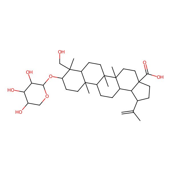 2D Structure of 8-(Hydroxymethyl)-5a,5b,8,11a-tetramethyl-1-prop-1-en-2-yl-9-(3,4,5-trihydroxyoxan-2-yl)oxy-1,2,3,4,5,6,7,7a,9,10,11,11b,12,13,13a,13b-hexadecahydrocyclopenta[a]chrysene-3a-carboxylic acid