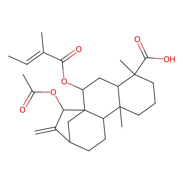 2D Structure of (1R,2S,4S,5R,9S,10S,13R,15R)-15-acetyloxy-5,9-dimethyl-2-[(Z)-2-methylbut-2-enoyl]oxy-14-methylidenetetracyclo[11.2.1.01,10.04,9]hexadecane-5-carboxylic acid