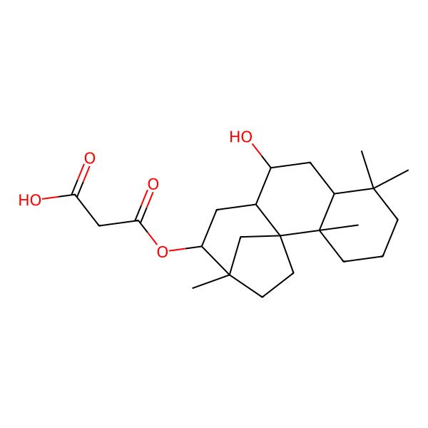 2D Structure of Thyrsiflorin B
