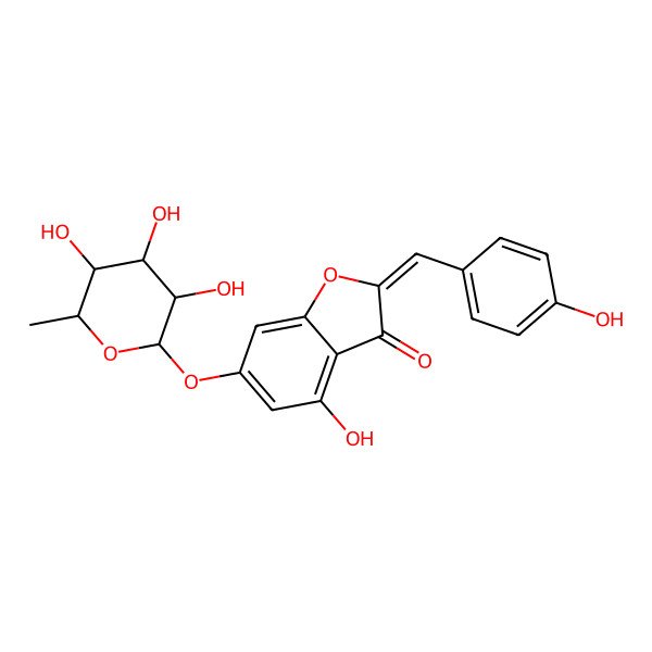 2D Structure of 4-Hydroxy-2-[(4-hydroxyphenyl)methylidene]-6-(3,4,5-trihydroxy-6-methyloxan-2-yl)oxy-1-benzofuran-3-one