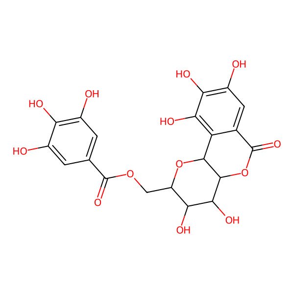 2D Structure of [(2R,3R,4S,4aR,10bS)-3,4,8,9,10-pentahydroxy-6-oxo-3,4,4a,10b-tetrahydro-2H-pyrano[3,2-c]isochromen-2-yl]methyl 3,4,5-trihydroxybenzoate
