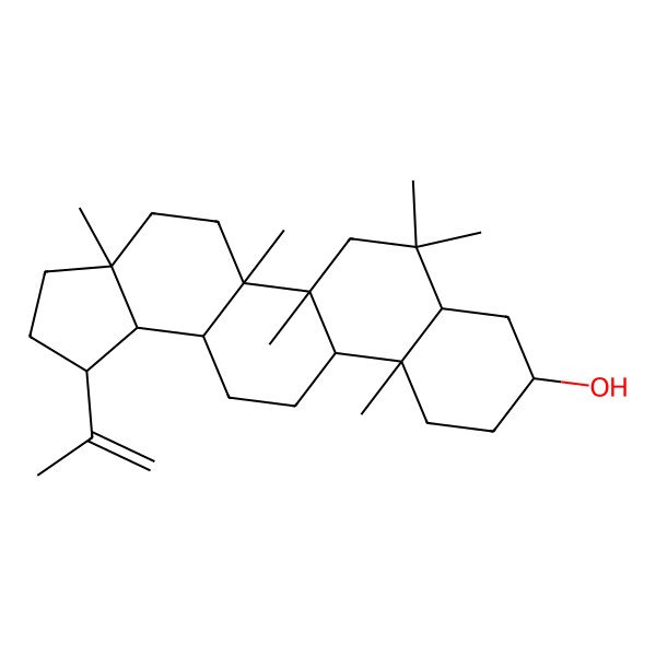 2D Structure of (1R,3aR,5aR,5bR,7aS,9S,11aS,11bS,13aR,13bR)-3a,5a,5b,7,7,11a-hexamethyl-1-prop-1-en-2-yl-1,2,3,4,5,6,7a,8,9,10,11,11b,12,13,13a,13b-hexadecahydrocyclopenta[a]chrysen-9-ol