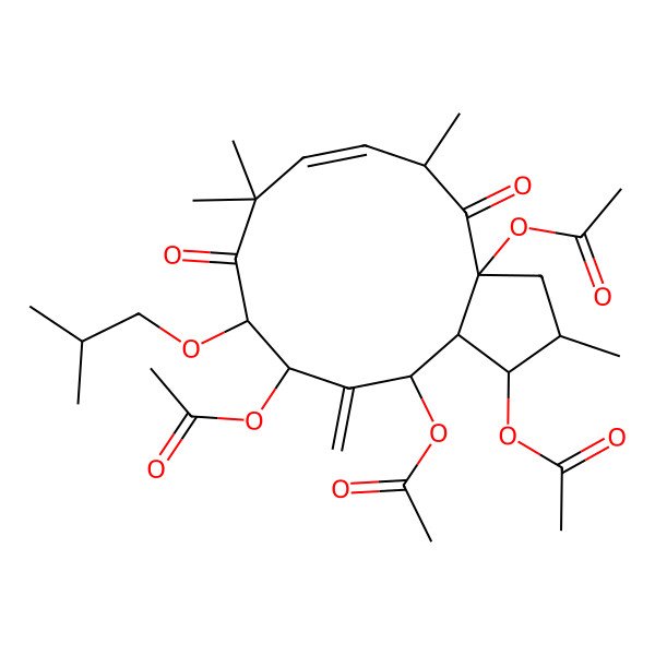 2D Structure of [(1S,2S,3aR,5S,6E,10R,11S,13R,13aR)-3a,11,13-triacetyloxy-2,5,8,8-tetramethyl-12-methylidene-10-(2-methylpropoxy)-4,9-dioxo-1,2,3,5,10,11,13,13a-octahydrocyclopenta[12]annulen-1-yl] acetate