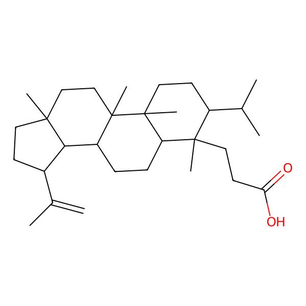 2D Structure of 3-(4,9,10,13-tetramethyl-3-propan-2-yl-15-prop-1-en-2-yl-2,3,5,6,7,8,11,12,14,15,16,17-dodecahydro-1H-cyclopenta[a]phenanthren-4-yl)propanoic acid