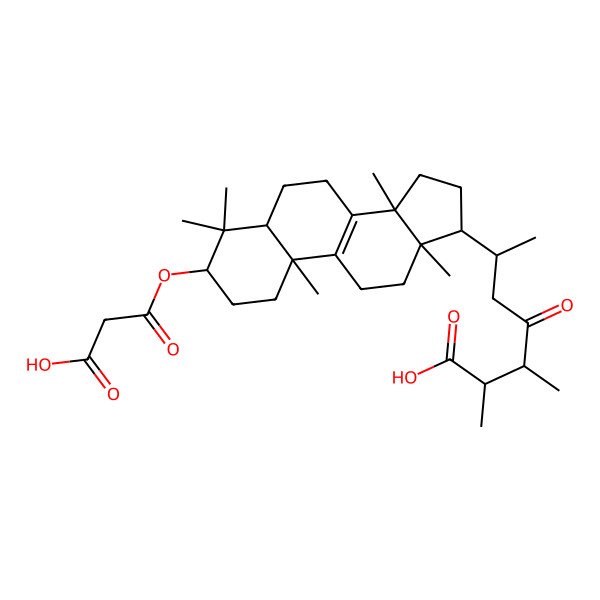 2D Structure of (2R,3R,6R)-6-[(3R,5R,10S,13R,14R,17R)-3-(2-carboxyacetyl)oxy-4,4,10,13,14-pentamethyl-2,3,5,6,7,11,12,15,16,17-decahydro-1H-cyclopenta[a]phenanthren-17-yl]-2,3-dimethyl-4-oxoheptanoic acid