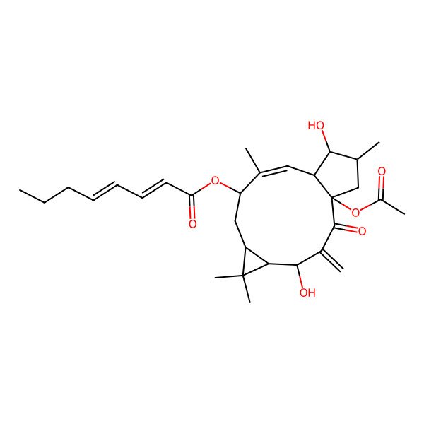 2D Structure of [(1R,4R,5R,7S,9R,10E,12S,13S,14R)-1-acetyloxy-4,13-dihydroxy-6,6,10,14-tetramethyl-3-methylidene-2-oxo-9-tricyclo[10.3.0.05,7]pentadec-10-enyl] (2E,4Z)-octa-2,4-dienoate