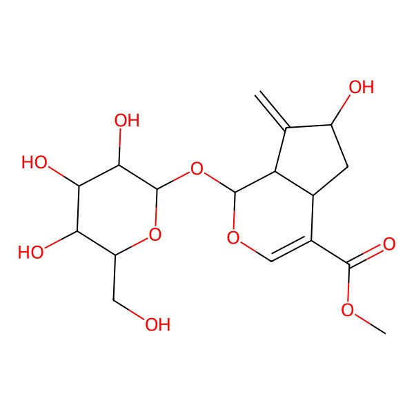 2D Structure of methyl (1S,4aS,6R,7aS)-6-hydroxy-7-methylidene-1-[(2S,3R,4S,5S,6R)-3,4,5-trihydroxy-6-(hydroxymethyl)oxan-2-yl]oxy-4a,5,6,7a-tetrahydro-1H-cyclopenta[c]pyran-4-carboxylate