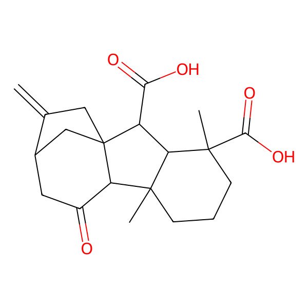 2D Structure of 4,8-Dimethyl-13-methylidene-10-oxotetracyclo[10.2.1.01,9.03,8]pentadecane-2,4-dicarboxylic acid