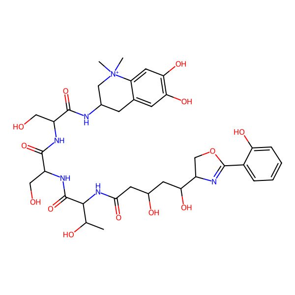 2D Structure of N-[1-[[1-[[1-[(6,7-dihydroxy-1,1-dimethyl-3,4-dihydro-2H-quinolin-1-ium-3-yl)amino]-3-hydroxy-1-oxopropan-2-yl]amino]-3-hydroxy-1-oxopropan-2-yl]amino]-3-hydroxy-1-oxobutan-2-yl]-3,5-dihydroxy-5-[2-(2-hydroxyphenyl)-4,5-dihydro-1,3-oxazol-4-yl]pentanamide