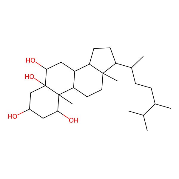 2D Structure of (1R,3S,5R,6R,8S,9S,10S,13R,14S,17R)-17-[(2R,5S)-5,6-dimethylheptan-2-yl]-10,13-dimethyl-1,2,3,4,6,7,8,9,11,12,14,15,16,17-tetradecahydrocyclopenta[a]phenanthrene-1,3,5,6-tetrol