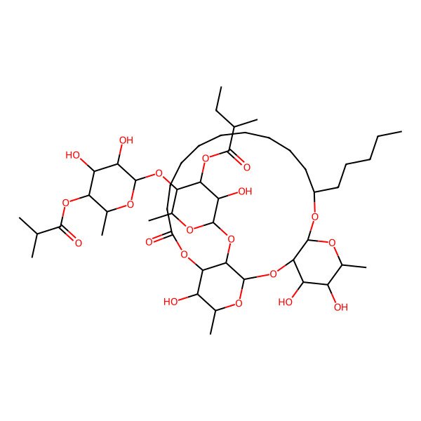 2D Structure of [(2S,3S,4S,5R,6S)-3-[(2S,3R,4R,5R,6R)-3,4-dihydroxy-6-methyl-5-(2-methylpropanoyloxy)oxan-2-yl]oxy-5-hydroxy-2-methyl-6-[[(1S,3R,4S,5S,6R,8R,10R,22S,23R,24R,26R)-4,5,23-trihydroxy-6,24-dimethyl-20-oxo-10-pentyl-2,7,9,21,25-pentaoxatricyclo[20.3.1.03,8]hexacosan-26-yl]oxy]oxan-4-yl] (2S)-2-methylbutanoate
