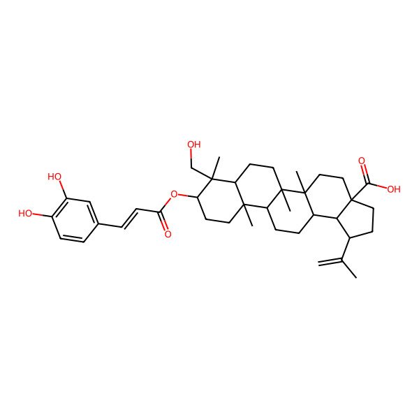 2D Structure of (1R,3aS,5aR,5bR,7aR,8R,9S,11aR,11bR,13aR,13bR)-9-[(E)-3-(3,4-dihydroxyphenyl)prop-2-enoyl]oxy-8-(hydroxymethyl)-5a,5b,8,11a-tetramethyl-1-prop-1-en-2-yl-1,2,3,4,5,6,7,7a,9,10,11,11b,12,13,13a,13b-hexadecahydrocyclopenta[a]chrysene-3a-carboxylic acid