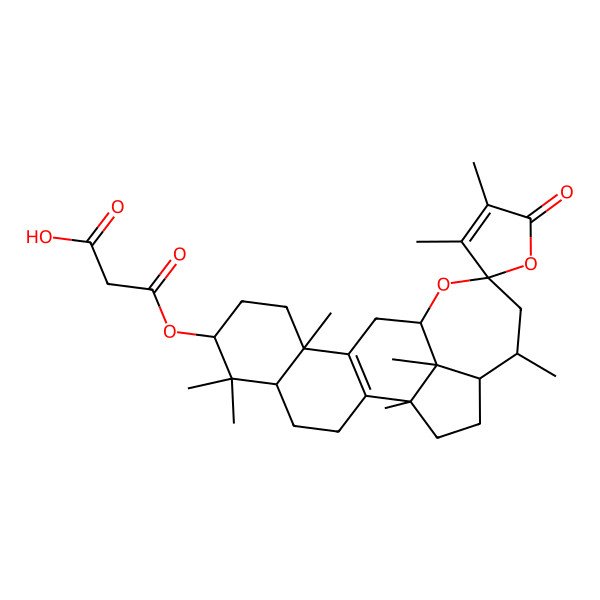 2D Structure of 3-[(1S,5S,7R,10S,13R,15S,17R,18R,21R)-1,3',4',6,6,10,17,21-octamethyl-5'-oxospiro[14-oxapentacyclo[11.7.1.02,11.05,10.018,21]henicos-2(11)-ene-15,2'-furan]-7-yl]oxy-3-oxopropanoic acid
