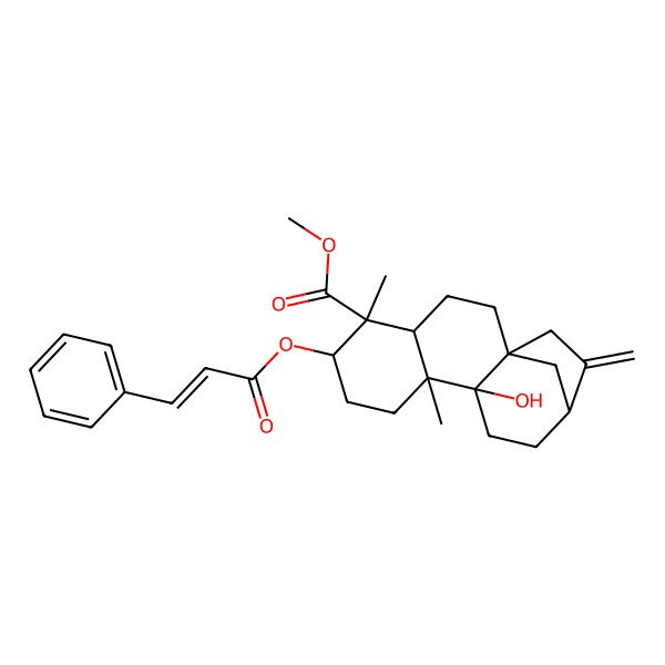 2D Structure of Methyl 10-hydroxy-5,9-dimethyl-14-methylidene-6-(3-phenylprop-2-enoyloxy)tetracyclo[11.2.1.01,10.04,9]hexadecane-5-carboxylate