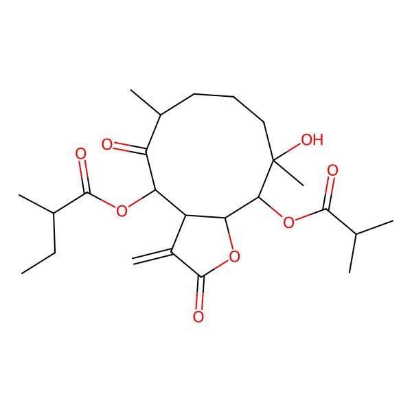 2D Structure of [(3aS,4R,6R,10S,11R,11aS)-10-hydroxy-6,10-dimethyl-3-methylidene-11-(2-methylpropanoyloxy)-2,5-dioxo-3a,4,6,7,8,9,11,11a-octahydrocyclodeca[b]furan-4-yl] 2-methylbutanoate