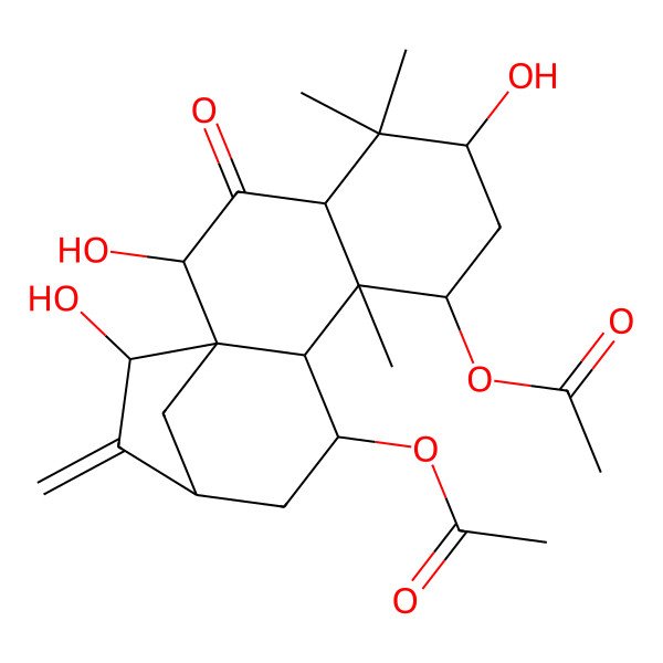 2D Structure of [(1R,2S,4S,6R,8R,9R,10R,11R,13R,15S)-8-acetyloxy-2,6,15-trihydroxy-5,5,9-trimethyl-14-methylidene-3-oxo-11-tetracyclo[11.2.1.01,10.04,9]hexadecanyl] acetate