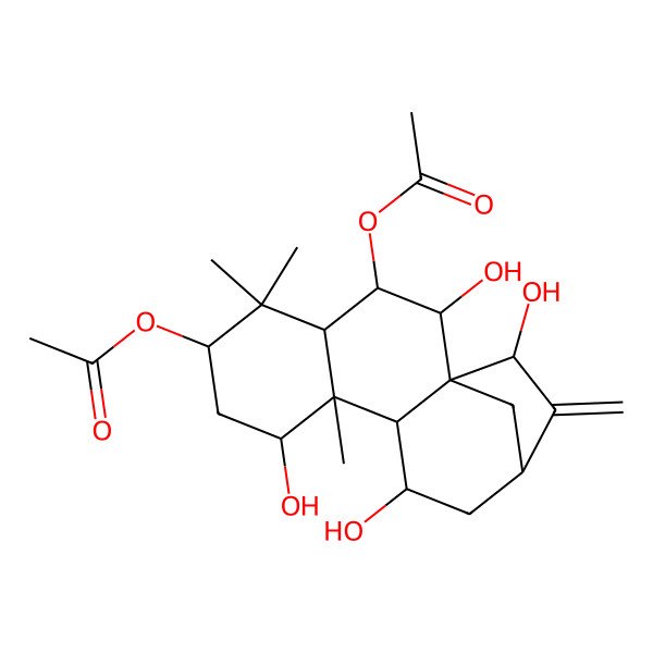 2D Structure of (3-Acetyloxy-2,8,11,15-tetrahydroxy-5,5,9-trimethyl-14-methylidene-6-tetracyclo[11.2.1.01,10.04,9]hexadecanyl) acetate