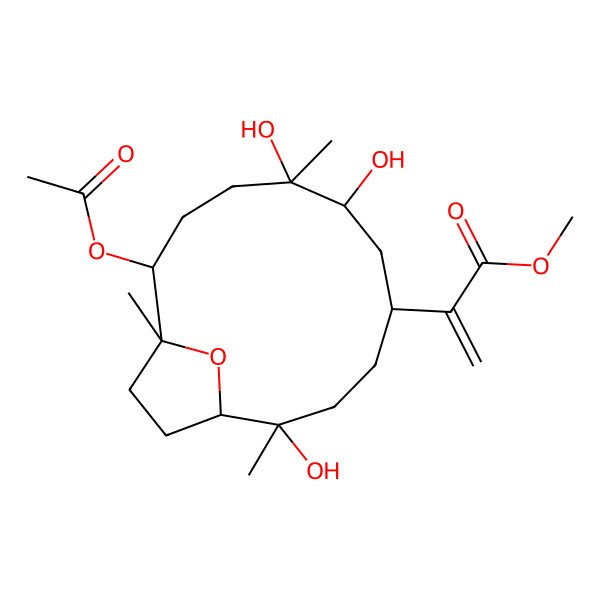 2D Structure of methyl 2-[(1R,2R,5R,7R,8S,11S,12R)-11-acetyloxy-2,7,8-trihydroxy-2,8,12-trimethyl-15-oxabicyclo[10.2.1]pentadecan-5-yl]prop-2-enoate