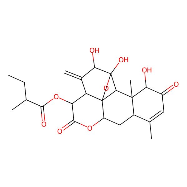 2D Structure of [(1S,4R,5R,7S,8R,11R,13R,17S,18S,19R)-4,5,17-trihydroxy-14,18-dimethyl-6-methylidene-9,16-dioxo-3,10-dioxapentacyclo[9.8.0.01,7.04,19.013,18]nonadec-14-en-8-yl] (2R)-2-methylbutanoate