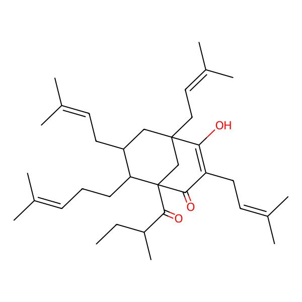 2D Structure of 4-Hydroxy-1-(2-methylbutanoyl)-3,5,7-tris(3-methylbut-2-enyl)-8-(4-methylpent-3-enyl)bicyclo[3.3.1]non-3-en-2-one