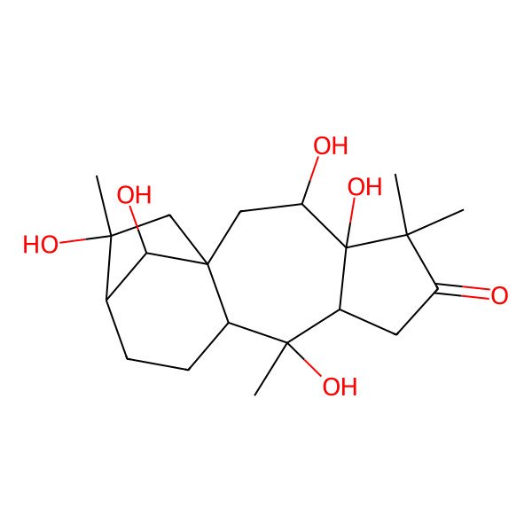 2D Structure of (1S,3R,4R,8S,9R,10R,13R,14R,16R)-3,4,9,14,16-pentahydroxy-5,5,9,14-tetramethyltetracyclo[11.2.1.01,10.04,8]hexadecan-6-one