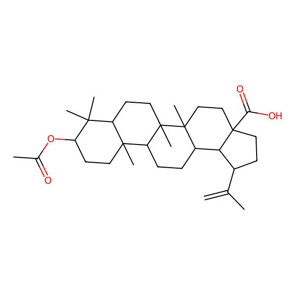 2D Structure of (1R,3aS,5aR,5bR,7aS,9R,11aR,11bR,13aR,13bR)-9-acetyloxy-5a,5b,8,8,11a-pentamethyl-1-prop-1-en-2-yl-1,2,3,4,5,6,7,7a,9,10,11,11b,12,13,13a,13b-hexadecahydrocyclopenta[a]chrysene-3a-carboxylic acid