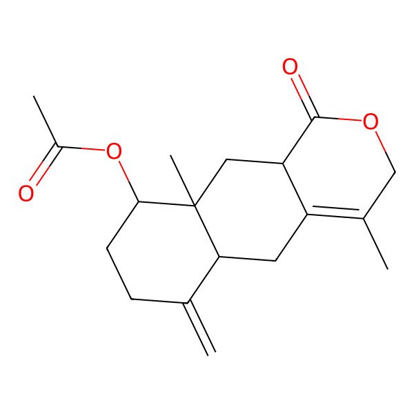 2D Structure of (4,9a-Dimethyl-6-methylidene-1-oxo-3,5,5a,7,8,9,10,10a-octahydrobenzo[g]isochromen-9-yl) acetate