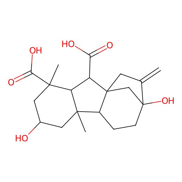 2D Structure of (1R,2S,3S,4R,6S,8R,9S,12S)-6,12-dihydroxy-4,8-dimethyl-13-methylidenetetracyclo[10.2.1.01,9.03,8]pentadecane-2,4-dicarboxylic acid