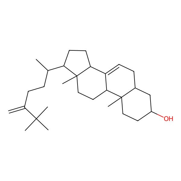 2D Structure of 17-(6,6-dimethyl-5-methylideneheptan-2-yl)-10,13-dimethyl-2,3,4,5,6,9,11,12,14,15,16,17-dodecahydro-1H-cyclopenta[a]phenanthren-3-ol