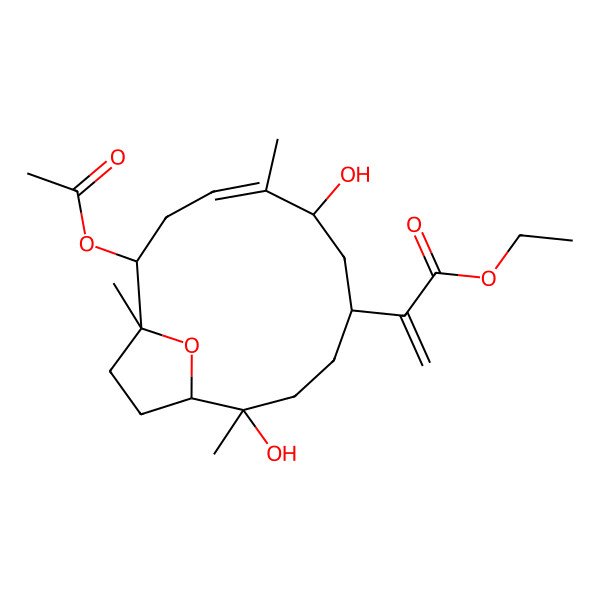 2D Structure of ethyl 2-[(1S,2R,5R,7S,8E,11S,12R)-11-acetyloxy-2,7-dihydroxy-2,8,12-trimethyl-15-oxabicyclo[10.2.1]pentadec-8-en-5-yl]prop-2-enoate
