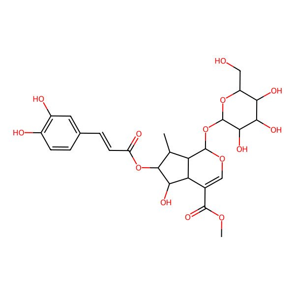 2D Structure of Methyl 6-[3-(3,4-dihydroxyphenyl)prop-2-enoyloxy]-5-hydroxy-7-methyl-1-[3,4,5-trihydroxy-6-(hydroxymethyl)oxan-2-yl]oxy-1,4a,5,6,7,7a-hexahydrocyclopenta[c]pyran-4-carboxylate