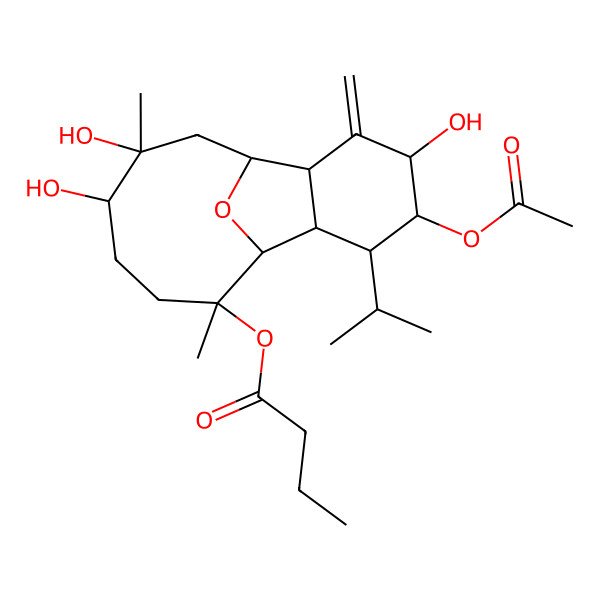 2D Structure of [(1R,2R,4R,5S,6R,7R,8R,9R,12S,13S)-5-acetyloxy-4,12,13-trihydroxy-9,13-dimethyl-3-methylidene-6-propan-2-yl-15-oxatricyclo[6.6.1.02,7]pentadecan-9-yl] butanoate