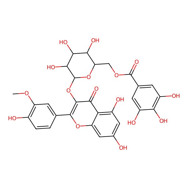 2D Structure of [(2R,3S,4S,5R,6S)-6-[5,7-dihydroxy-2-(4-hydroxy-3-methoxyphenyl)-4-oxochromen-3-yl]oxy-3,4,5-trihydroxyoxan-2-yl]methyl 3,4,5-trihydroxybenzoate