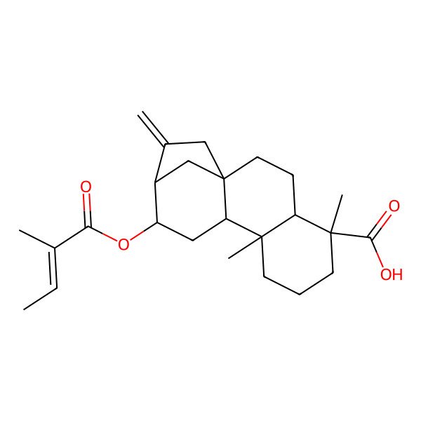 2D Structure of 5,9-Dimethyl-12-(2-methylbut-2-enoyloxy)-14-methylidenetetracyclo[11.2.1.01,10.04,9]hexadecane-5-carboxylic acid