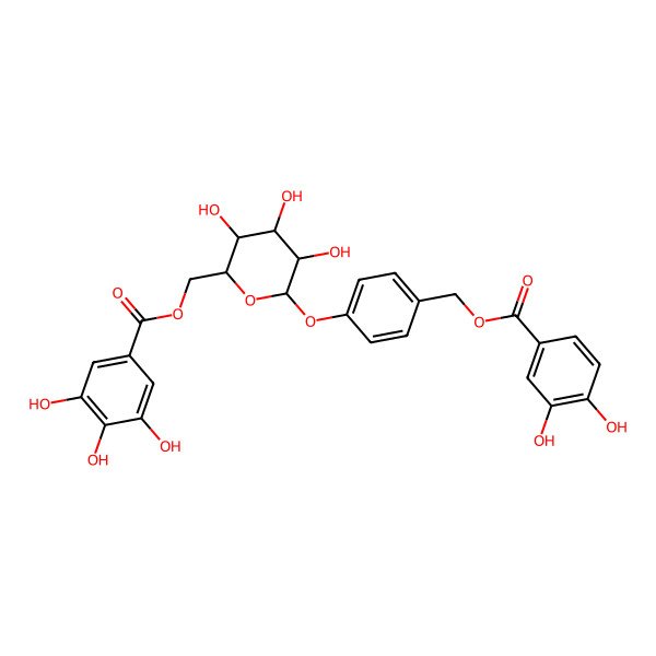 2D Structure of [(2R,3S,4S,5R,6S)-6-[4-[(3,4-dihydroxybenzoyl)oxymethyl]phenoxy]-3,4,5-trihydroxyoxan-2-yl]methyl 3,4,5-trihydroxybenzoate