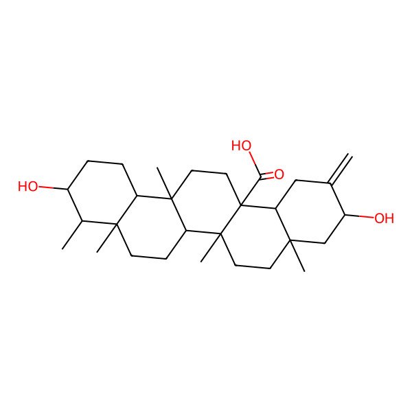 2D Structure of 3,10-Dihydroxy-4,4a,6b,8a,14a-pentamethyl-11-methylidene-1,2,3,4,5,6,6a,7,8,9,10,12,12a,13,14,14b-hexadecahydropicene-6a-carboxylic acid