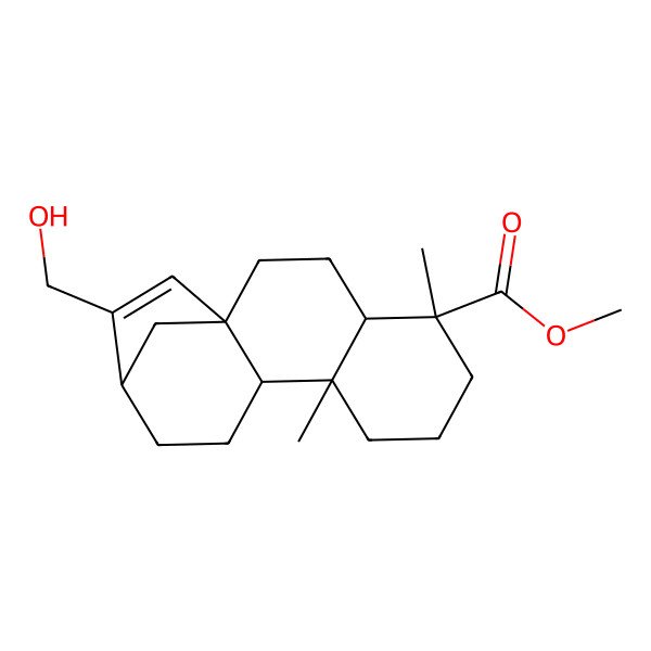 2D Structure of methyl (1S,4S,5R,9S,10S,13R)-14-(hydroxymethyl)-5,9-dimethyltetracyclo[11.2.1.01,10.04,9]hexadec-14-ene-5-carboxylate