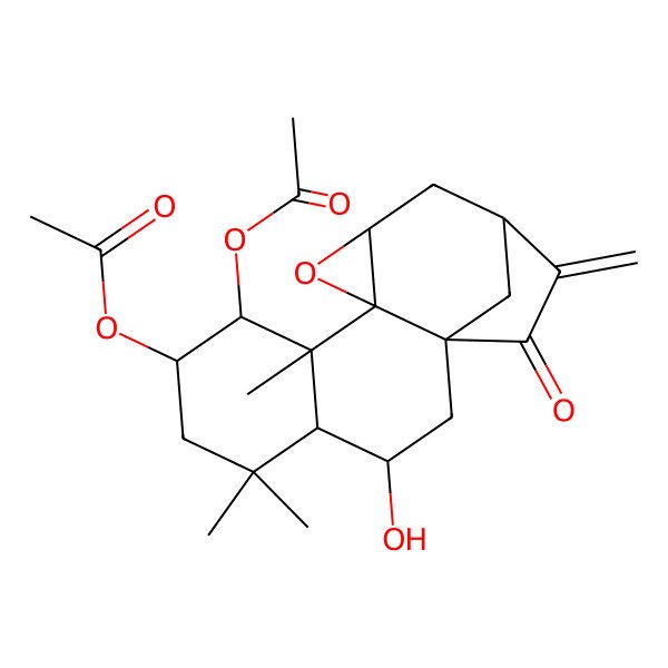 2D Structure of (8-Acetyloxy-3-hydroxy-5,5,9-trimethyl-15-methylidene-16-oxo-11-oxapentacyclo[12.2.1.01,10.04,9.010,12]heptadecan-7-yl) acetate