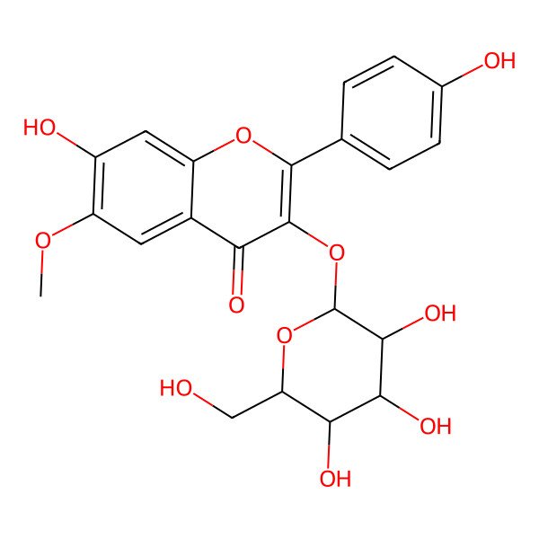 2D Structure of 7-hydroxy-2-(4-hydroxyphenyl)-6-methoxy-3-[(2S,3R,4S,5S,6R)-3,4,5-trihydroxy-6-(hydroxymethyl)oxan-2-yl]oxychromen-4-one