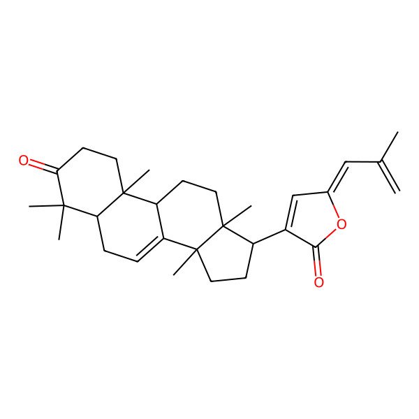 2D Structure of (5Z)-5-(2-methylprop-2-enylidene)-3-[(5R,9R,10R,13S,14S,17R)-4,4,10,13,14-pentamethyl-3-oxo-1,2,5,6,9,11,12,15,16,17-decahydrocyclopenta[a]phenanthren-17-yl]furan-2-one