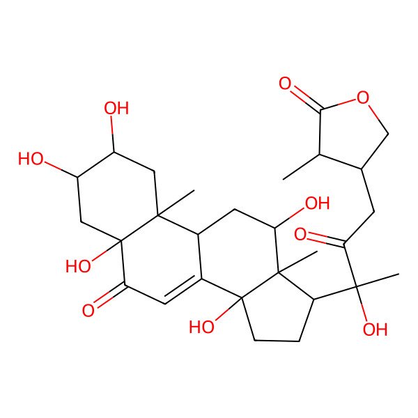 2D Structure of (3S,4S)-4-[(3R)-3-hydroxy-2-oxo-3-[(2S,3R,5S,9R,10R,12R,13S,14R,17S)-2,3,5,12,14-pentahydroxy-10,13-dimethyl-6-oxo-1,2,3,4,9,11,12,15,16,17-decahydrocyclopenta[a]phenanthren-17-yl]butyl]-3-methyloxolan-2-one