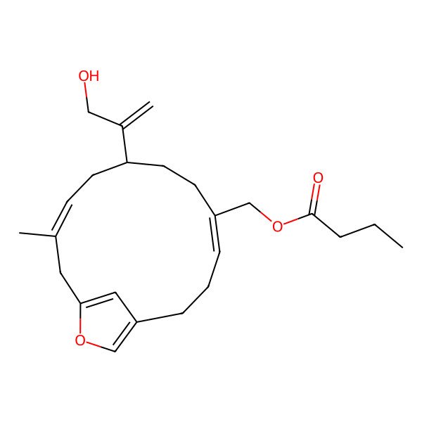 2D Structure of [(4Z,8R,10E)-8-(3-hydroxyprop-1-en-2-yl)-11-methyl-14-oxabicyclo[11.2.1]hexadeca-1(15),4,10,13(16)-tetraen-5-yl]methyl butanoate