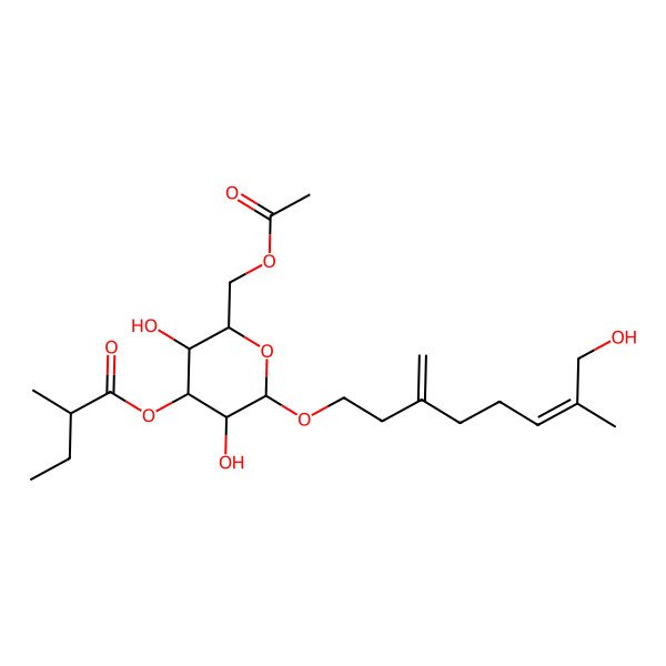 2D Structure of [(2R,3R,4S,5R,6R)-2-(acetyloxymethyl)-3,5-dihydroxy-6-[(Z)-8-hydroxy-7-methyl-3-methylideneoct-6-enoxy]oxan-4-yl] (2R)-2-methylbutanoate
