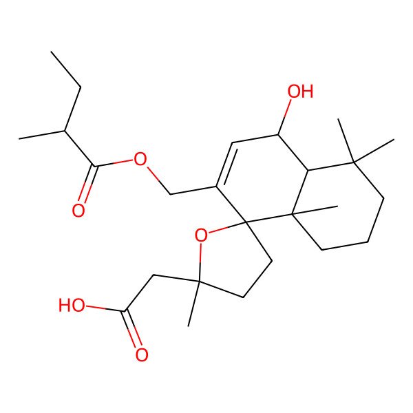 2D Structure of 2-[(2'R,4aS,5S,8S,8aS)-5-hydroxy-2',4,4,8a-tetramethyl-7-[[(2R)-2-methylbutanoyl]oxymethyl]spiro[2,3,4a,5-tetrahydro-1H-naphthalene-8,5'-oxolane]-2'-yl]acetic acid
