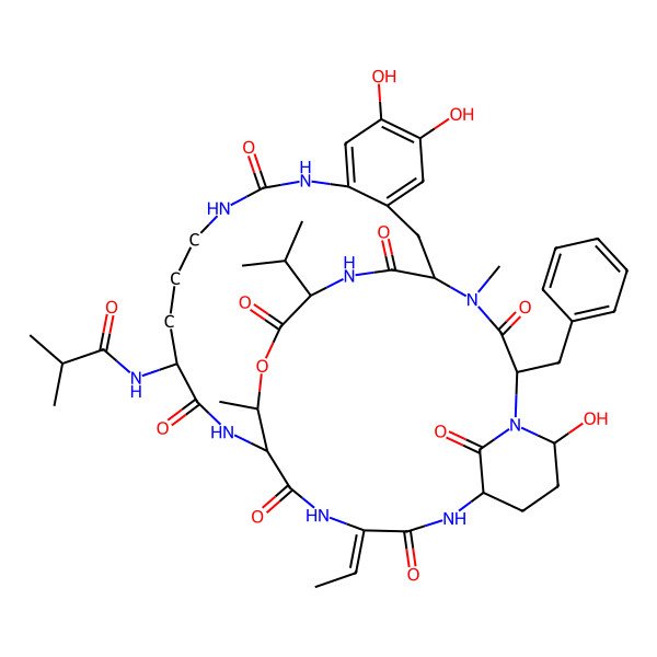 2D Structure of N-[(15R,21Z,27S,29S,34S,37S)-29-benzyl-21-ethylidene-5,6,27-trihydroxy-31,37-dimethyl-10,16,19,22,30,32,35,38-octaoxo-34-propan-2-yl-36-oxa-9,11,17,20,23,28,31,33-octazatetracyclo[16.13.6.124,28.03,8]octatriaconta-3,5,7-trien-15-yl]-2-methylpropanamide