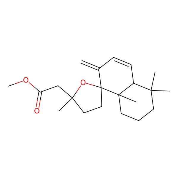 2D Structure of Methyl 2-(2',4,4,8a-tetramethyl-7-methylidenespiro[1,2,3,4a-tetrahydronaphthalene-8,5'-oxolane]-2'-yl)acetate
