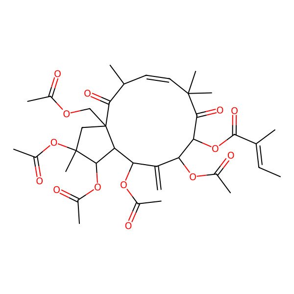 2D Structure of [(1R,2R,3aS,5R,6E,10R,11S,13R,13aS)-1,2,11,13-tetraacetyloxy-3a-(acetyloxymethyl)-2,5,8,8-tetramethyl-12-methylidene-4,9-dioxo-3,5,10,11,13,13a-hexahydro-1H-cyclopenta[12]annulen-10-yl] (Z)-2-methylbut-2-enoate