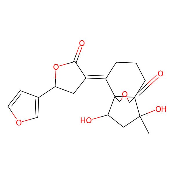 2D Structure of (1S,2E,6S,10S,12R)-2-[(5S)-5-(furan-3-yl)-2-oxooxolan-3-ylidene]-10,12-dihydroxy-12-methyl-8-oxatricyclo[4.3.3.01,6]dodecan-7-one